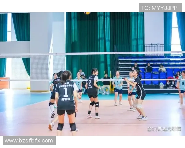 南京排球队的力量揭秘：从训练到比赛的全景探索与背后故事