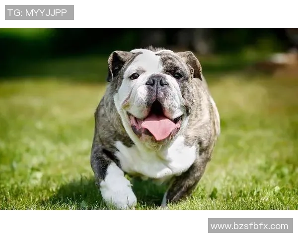 足球明星手握水杯搞笑瞬间引发全场欢笑趣事分享 足球明星手握水杯搞笑瞬间引发全场欢笑趣事分享