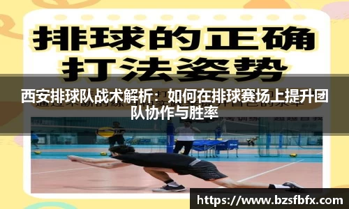 MK体育官网