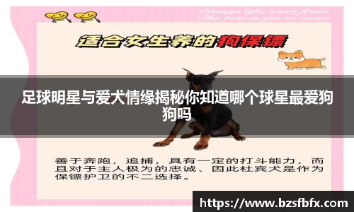 mk体育在线官网